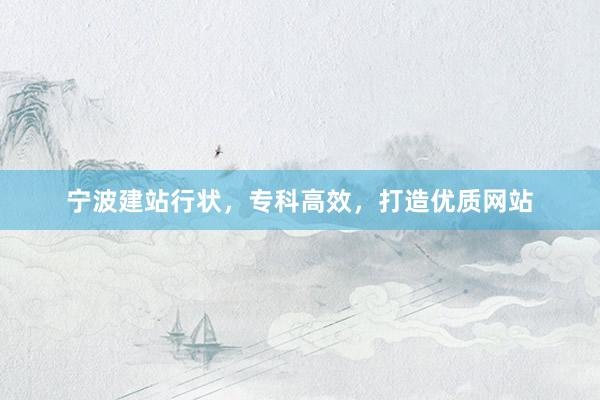 宁波建站行状，专科高效，打造优质网站